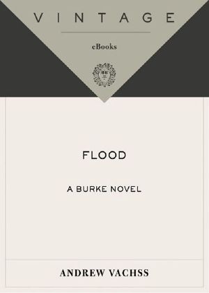 [Burke 01] • Flood